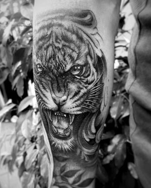 Unique blackwork design by Murat Yılmaz, showcasing a majestic tiger motif on the forearm.