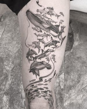 Bold blackwork design of fish and whale on knee. Unique illustrative style by talented artist Osman Ergin.