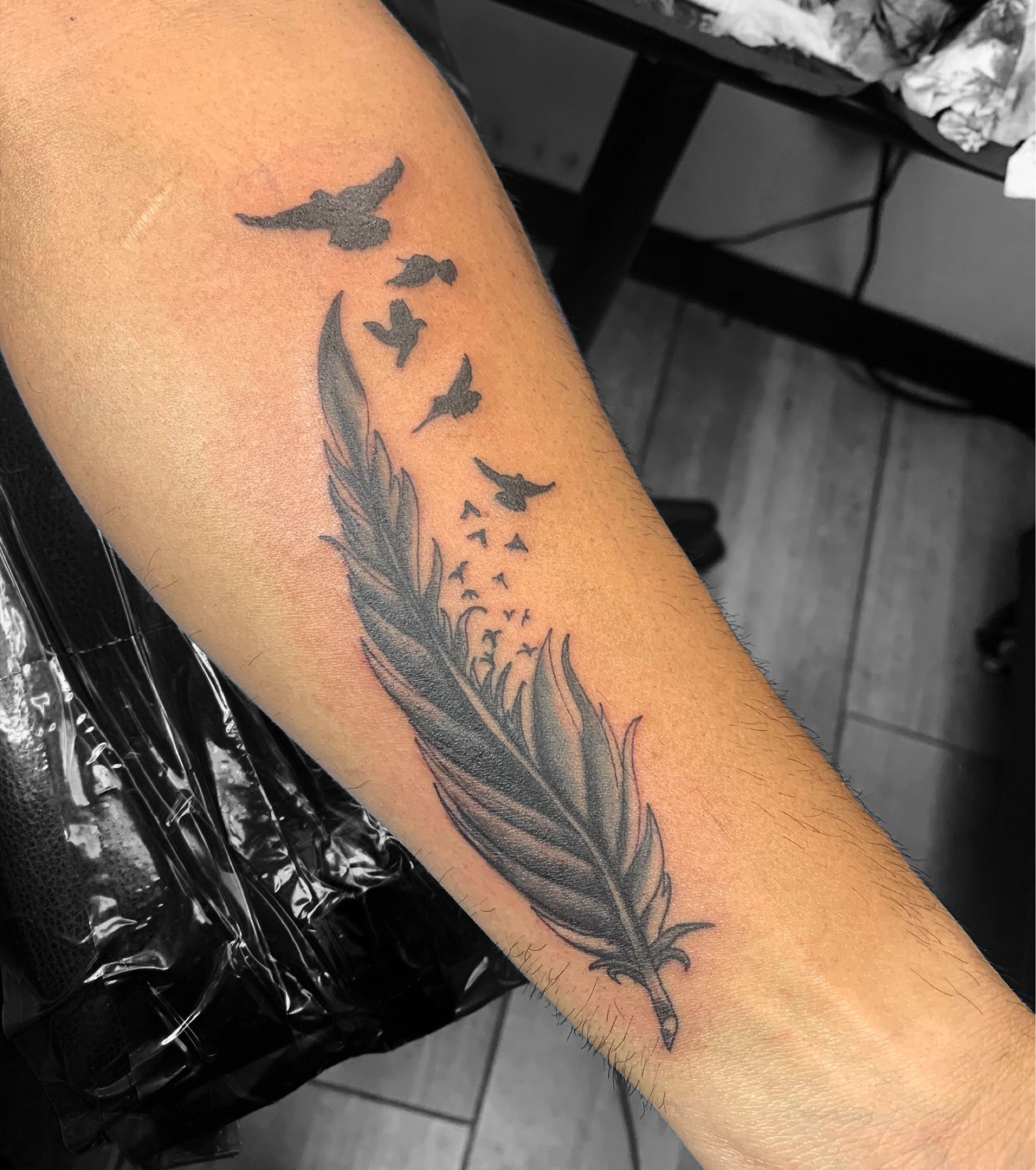Share 82+ feather with birds tattoo designs best