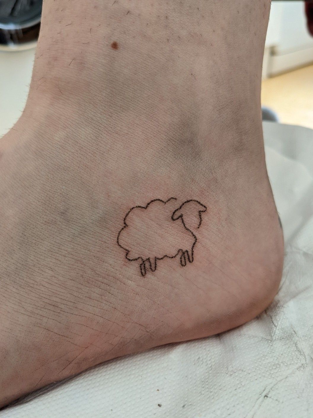 Whitney Wiedrich | Black Sheep Tattoo