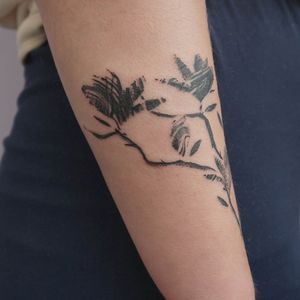 Magnolia tattoo
#magnolia #abstract #floral #texture
