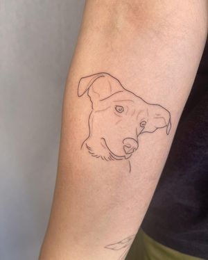 Elegant and detailed forearm tattoo of a dog, expertly done in fine line illustrative style by Dominika Gajewska.