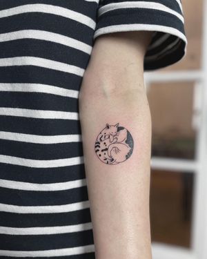 This fine line tattoo of a cat on the forearm blends blackwork and illustrative styles for a unique and striking design by artist Kaśka.