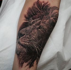 Impressive blackwork lion tattoo on forearm, showcasing the fierce and majestic nature of the king of the jungle. Located in Chicago, US.