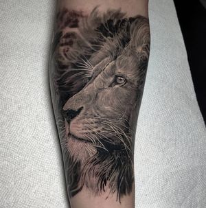 Experience the power of a realistic and illustrative lion tattoo on your forearm in Chicago. Perfect for those who appreciate blackwork style.