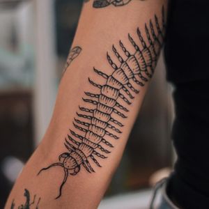 Blackwork centipede tattoo on upper arm, designed by talented artist Kaśka. Intricate details and unique design.