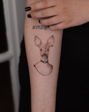 Unique black and gray forearm tattoo featuring a realistic deer with a collar, expertly executed by Adrian Mokijewski.