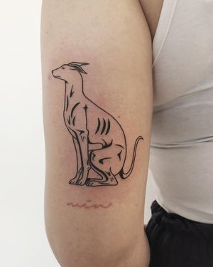 This blackwork illustrative tattoo of a dog, done by artist Kaśka, features intricate fine line details on the upper arm.