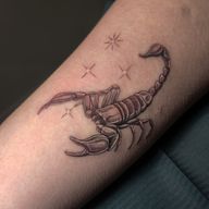 #chicago #lincolnparkchicago #portrait #blackandrgey #blackandgray #realism #dog #dogportrait #animalportrait #scorpion #scorpiontattoo #scorpio #blackwork #fineline #finelinetattoo