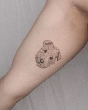 Discover the beauty of Adrian Mokijewski's illustrative style with this stunning dog tattoo on your upper arm.