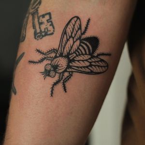 Unique blackwork fly tattoo on the upper arm by the talented artist Kaśka. Detailed and striking design.