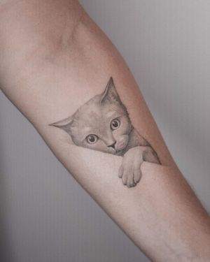 Adrian Mokijewski's black and gray illustrative tattoo showcases a lifelike cat on the forearm.