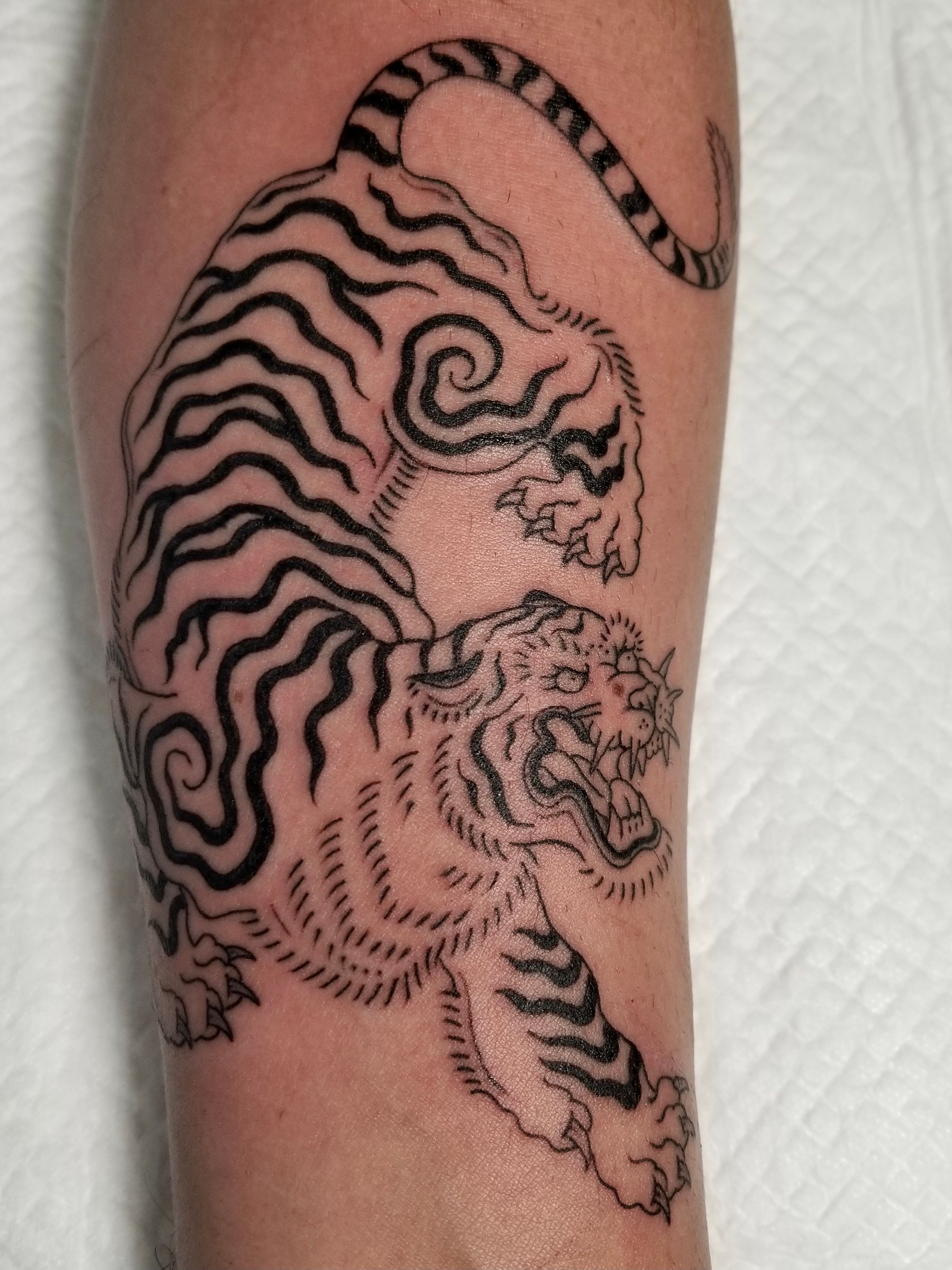 Tibetan tiger in progress  Holy Ghost Tattoo Luxembourg  Facebook