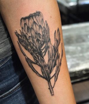 Get an intricate blackwork flower tattoo on your forearm by the talented artist Sean Ross Fawkes.