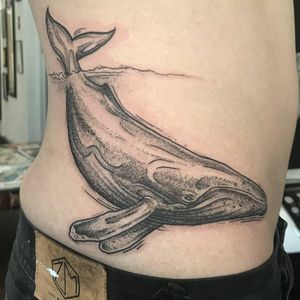 Beautiful blackwork illustration of a whale by talented artist Sean Ross Fawkes, perfect for ribs