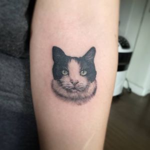 Experience the beauty of a lifelike feline portrait by artist Sean Ross Fawkes on your forearm. Perfect for cat lovers.