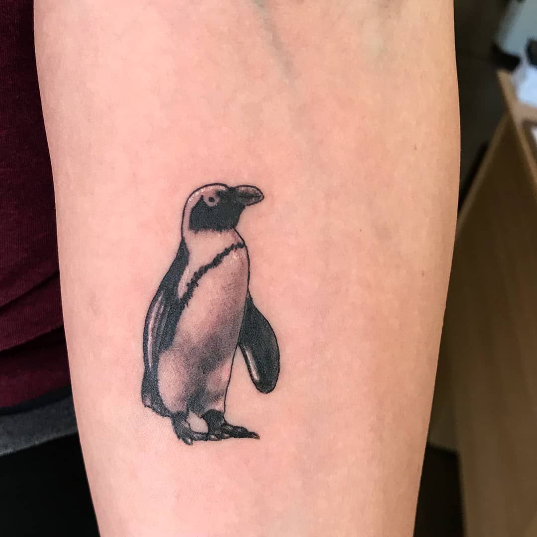 Minimalistic tattoo of a penguin located on the wrist