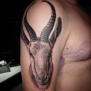 Unique blackwork design on upper arm by Sean Ross Fawkes featuring a goat motif with intricate horns.