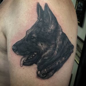 Incredible blackwork design by Sean Ross Fawkes on upper arm, featuring a lifelike dog with a collar.