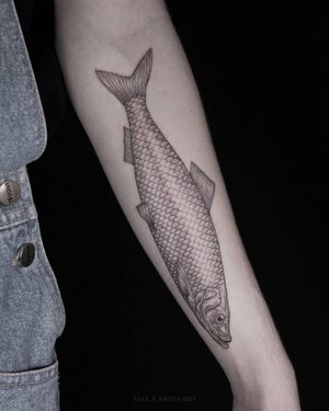 Illustrative forearm tattoo of a fish, by Mara showcasing intricate fine line blackwork artistry.