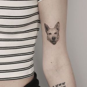 Get a detailed and lifelike dog tattoo by Martyna Śliwka, combining blackwork and illustrative styles for a unique piece of art.