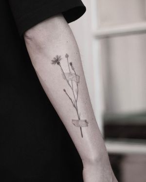 Elegant forearm tattoo featuring a fine line and realistic illustrative style flower, expertly done by talented artist Martyna Śliwka.
