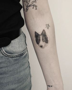 Impressive black and gray illustration of a dog on the forearm by Martyna Śliwka. Perfect for dog lovers.