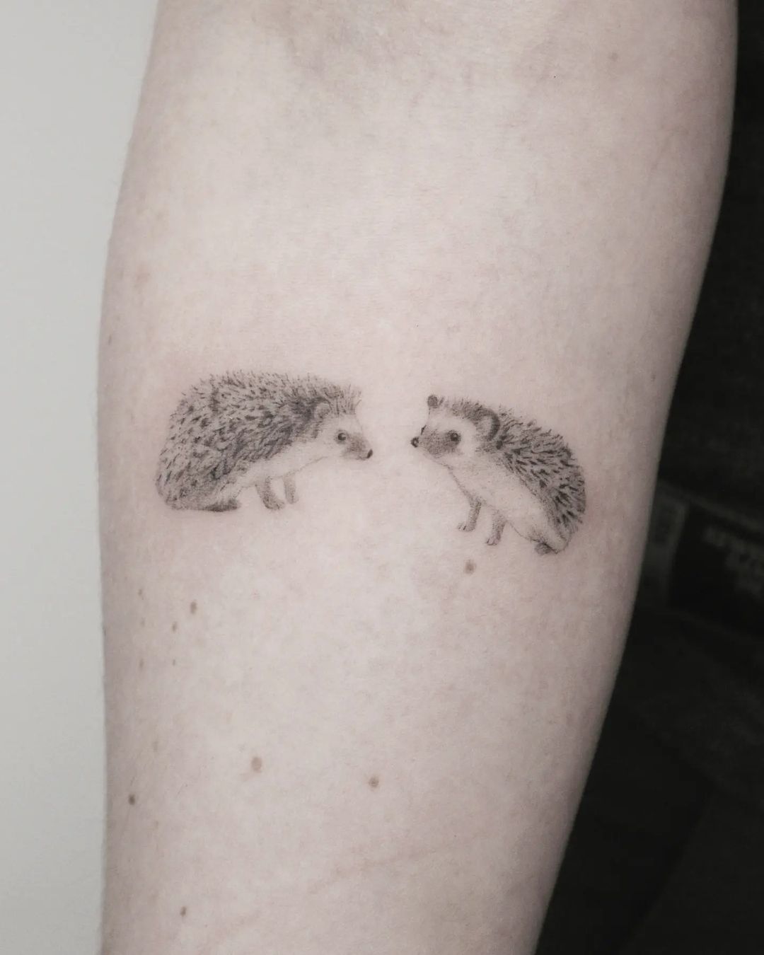 HEDGEHOG Print — Tattoos by Robert Morrow