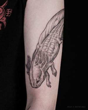 Get a mesmerizing blackwork lizzard tattoo on your forearm by the talented artist Mara. The illustrative design will make a bold statement.