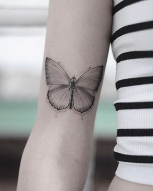 Explore the beauty of nature with this stunning illustrative butterfly tattoo by Martyna Śliwka. Perfect for those who appreciate intricate details and bold designs.
