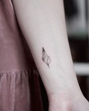 Fine line tattoo of a beautiful shell design on the upper arm by artist Martyna Śliwka. Sophisticated and elegant.