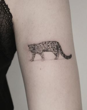 Get a fierce and detailed black and gray leopard tattoo on your upper arm by Martyna Śliwka for a bold and stylish look.