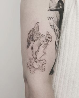 Elegant illustrative tattoo of sheep wings and clouds on upper arm by Martyna Śliwka. Perfect balance of fine line and detailed design.