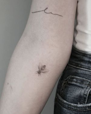 Beautiful black and gray illustrative tattoo of a fly on the forearm, created by Martyna Śliwka.