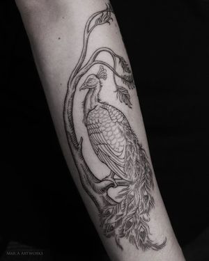 Express your love for nature with this striking blackwork tattoo featuring a majestic peacock, elegant tree, and delicate feather, expertly done by Mara.