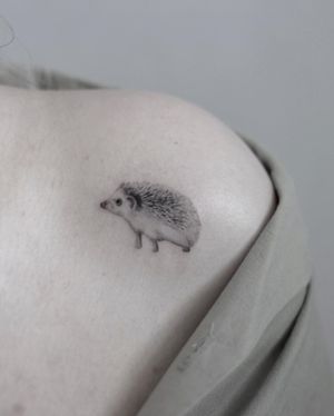 Beautiful black and gray illustration of a hedgehog on the shoulder, by Martyna Śliwka.