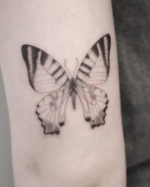 Unique blackwork and fine line design of a butterfly by tattoo artist Martyna Śliwka. Perfect for a modern and minimalist look.