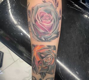Good and evil color roses
