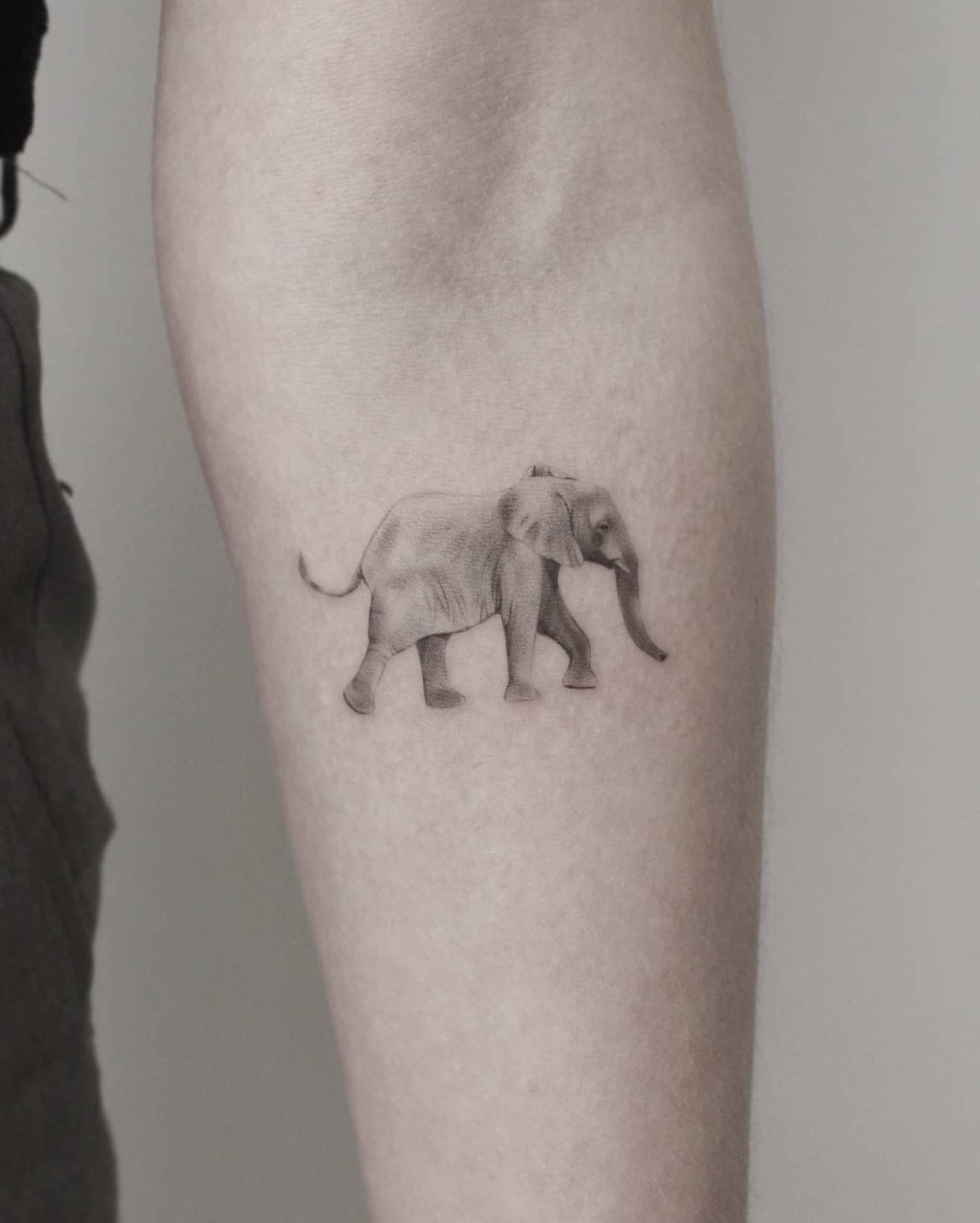 Realistic Elephant Forearm Tattoo • Tattoodo