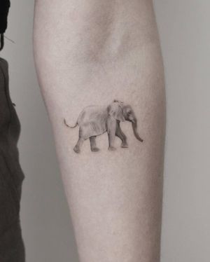 Stunning black and gray illustrative tattoo of an elephant, expertly done by Martyna Śliwka.