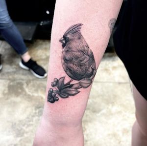 Capture the beauty of nature with this striking blackwork tattoo by Phillip Wolves. Realistic and illustrative design of a bird perched on a tree.
