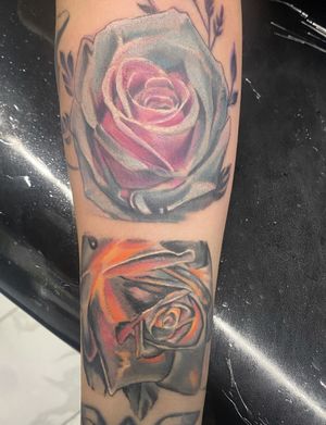 Color roses 