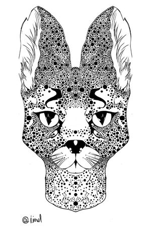 Serval tattoo sketch#servaltattoo #sketch #татусервала #сервал #эскиз #sketch_iiowl #serval #riga #jurmala
