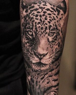 Get a fierce and detailed black and gray leopard tattoo on your forearm in Long Beach that showcases your wild side.