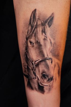 CABALLO realismo una pieza de mis preferidas#tattoo#caballo#inktattoo#realismotattoo