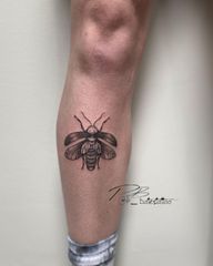Detailed Beetle