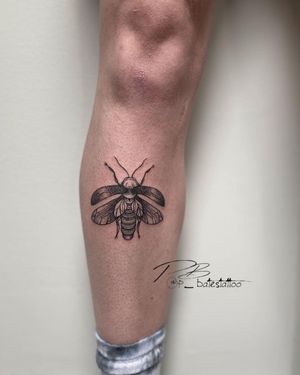 Patrick Bates creates a stunning blackwork bee tattoo on the shin, featuring intricate illustrative details.