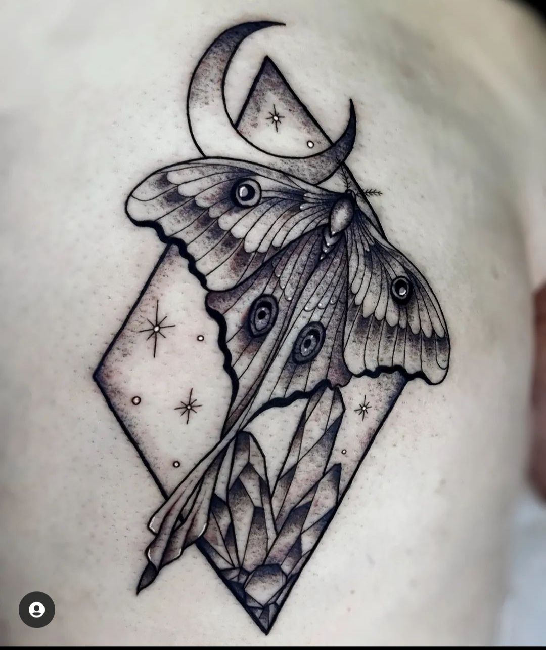 Luna Moth by Cedre Cedre Tattoos  Diving Swallow Tattoo  Facebook