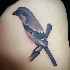 Get a stunning illustrative blackwork bird tattoo on your ribs by the talented Darren Brass