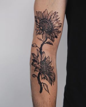 Illustrative sunflower design on arm by Jamie B, a stunning blackwork piece that stands out.